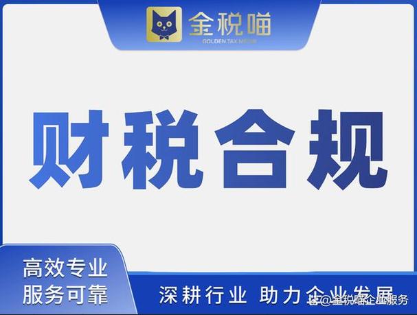 借力专业，行稳致远 缺乏专职财务团队下的服务适配之道
